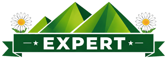 EXPERT-logo-header